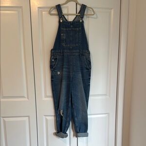Zara Blue Denim Jumpsuit